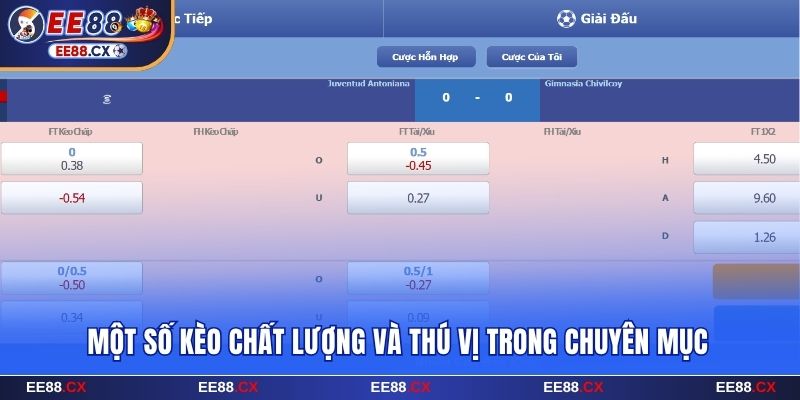 Một số kèo chất lượng và thú vị trong chuyên mục thể thao EE88