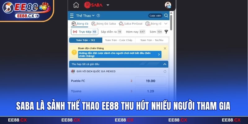 Saba là sảnh thể thao EE88 thu hút nhiều người tham gia